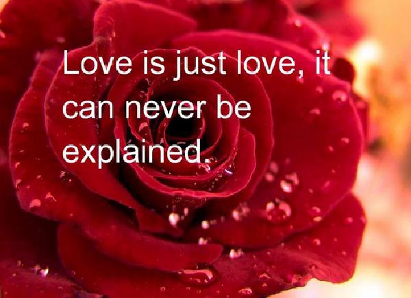 Valentines_Day_Quotes2